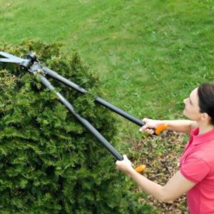 Forbici Fiskars Per Erba e Siepi 1001565 - alliastore