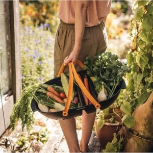 Cesta per il raccolto Fiskars 1062831 - alliastore